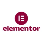 Elementor expert digital marketing strategist in Nilgiris